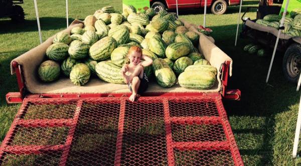This Small Town In Arkansas Is Famous For Their World Record Watermelons