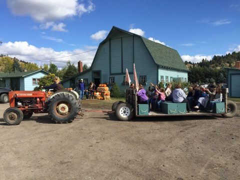 You’ll Have Loads Of Fun At These 5 Pick-Your-Own Fruit Farms In Montana