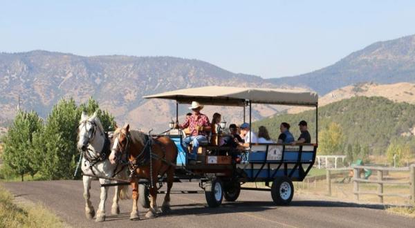 Take A Scenic Wagon Ride Through The Idaho Mountains For An Unforgettable Experience