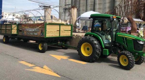 See Buffalo In A Whole New Way On This Unique New Tractor Tour