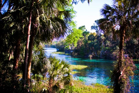 A Trip Down This Crystalline River In Florida Is All You Need For Summer And More