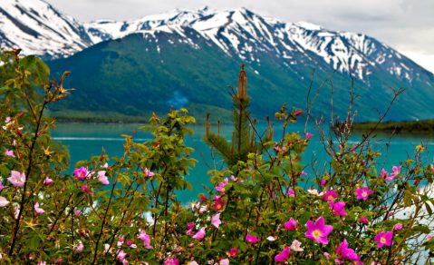 9 Glorious Campgrounds In Alaska Where No Reservation Is Required