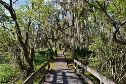 7 Easy Hikes Around New Orleans You’ll Want To Knock Of Your Summer Bucket List