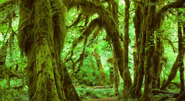 This Peaceful Place In Washington Is One Of The Quietest Spots In The Entire Country