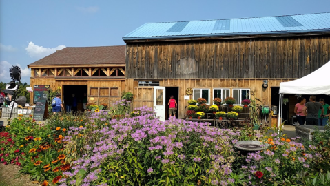 You’ll Have Loads Of Fun At These 7 Pick-Your-Own Fruit Farms In New Hampshire