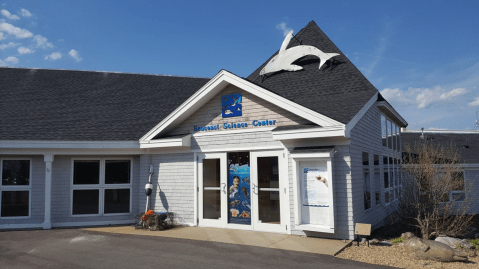This Incredible Seacoast Museum In New Hampshire Is Perfect for A Summer Day Trip