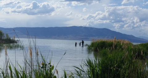 The Utah Lake That You Should Avoid At All Costs This Summer