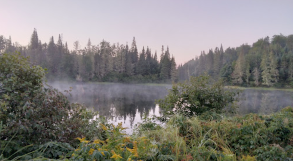 8 Lesser-Known State Parks In New Hampshire That Will Absolutely Amaze You