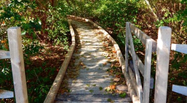 6 Totally Kid-Friendly Hikes In Rhode Island That Are 1 Mile And Under