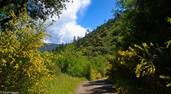 This One Hike In Northern California Has A Little Bit Of Everything And You Need To Do It