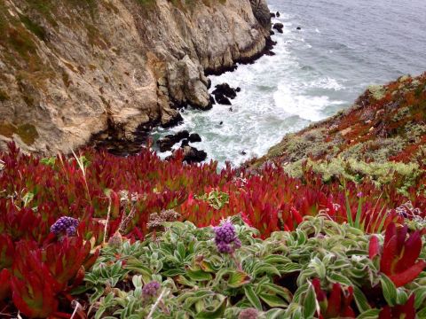This Little-Known West Coast Trail Has A Creepy Name But Views That Will Astound You