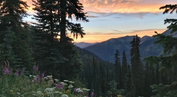 This Scenic Hike Will Make You Fall In Love With Montana All Over Again