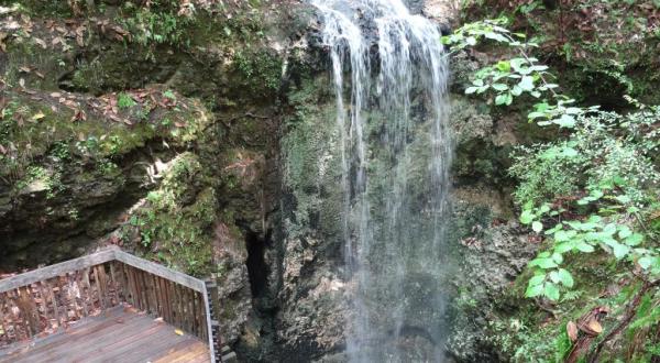 Discover One Of Florida’s Most Majestic Waterfalls – No Hiking Necessary