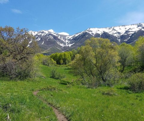 The Utah Waterfall Hike You Won't Want To Miss This Summer
