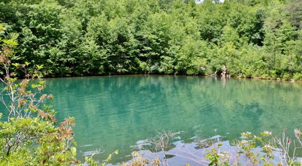 This Hidden Lagoon In Virginia Has Some Of The Bluest Water In The State