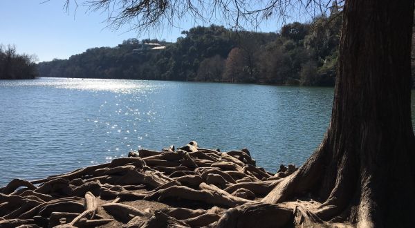 This Quaint Little Trail Is The Shortest And Sweetest Hike In Austin
