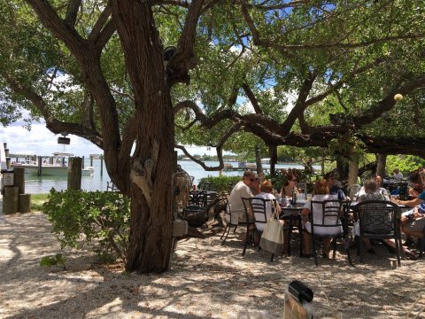 Dine Among The Banyan Trees At This Enchanting Restaurant In Florida