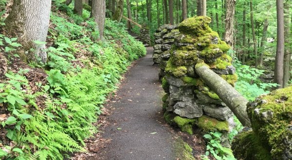 9 Easy Hikes Around Buffalo You’ll Want To Knock Off Your Summer Bucket List