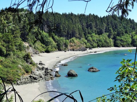 This Enchanting Forest Hike In Northern California Leads You To A Stunning Secret Beach