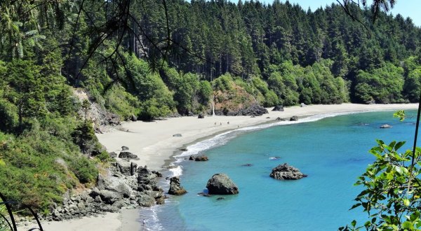 This Enchanting Forest Hike In Northern California Leads You To A Stunning Secret Beach