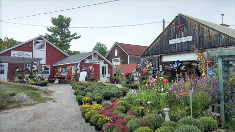 These 5 New Hampshire Farms Have So Much More Than Produce