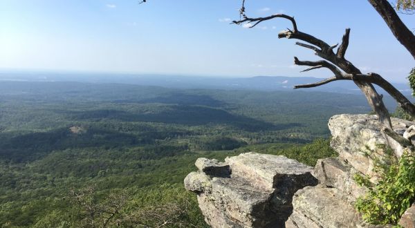 The Easy Trail In Alabama That Will Take You To The Top Of The World