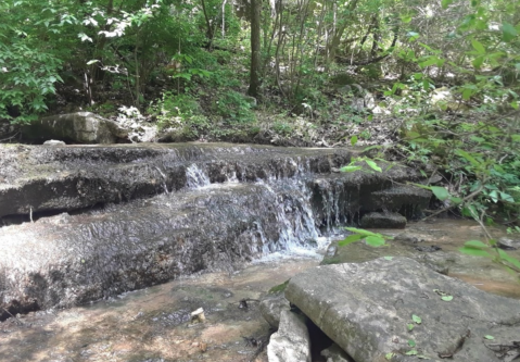 Outdoor Enthusiasts Will Love This Beautiful Natural Oasis Hiding In Alabama
