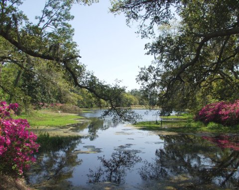 You'll Be Blown Away By This Enchanting Garden Walk In North Carolina