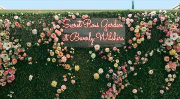 There’s A Secret Rooftop Rose Garden Right In The Heart Of Hollywood