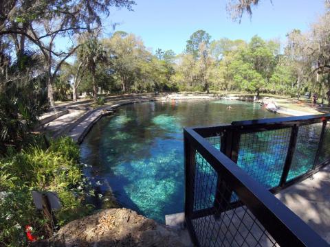 You’ll Want To Spend All Day At This Waterfall-Fed Pool In Florida