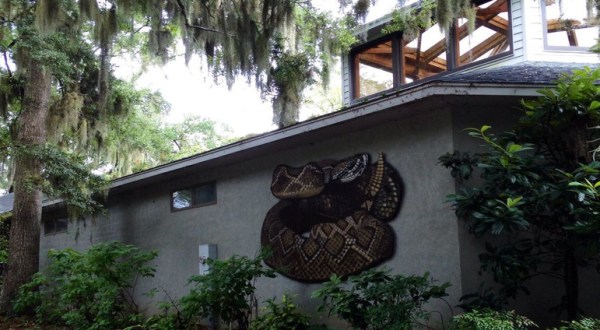 Most People Don’t Know About This Underrated Zoo Hiding In South Carolina