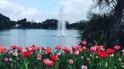 It's Impossible Not To Love The Most Visited Park In New Orleans