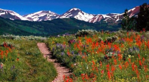 The One Wildflower Hike In The U.S. That Will Completely Mesmerize You