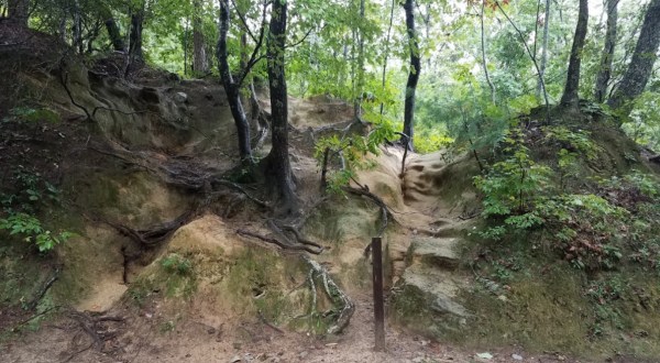 The Tunnel Trail In South Carolina That Will Take You On An Unforgettable Adventure