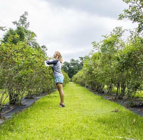 The Whole Family Will Enjoy A Visit To This U-Pick Farm In Louisiana