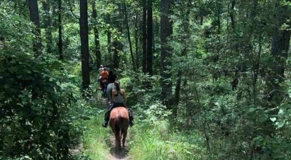 This Incredible Horseback Riding Trail Will Show You A New Side Of Louisiana
