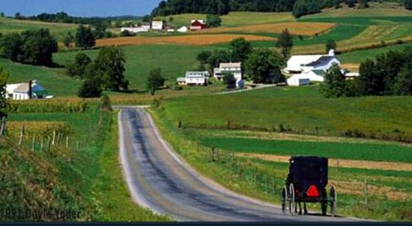 The Unique Tour That Will Take You Deep Into Ohio Amish Country Like Never Before