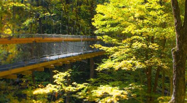 This Canopy Walk Near Cleveland Will Make Your Stomach Drop
