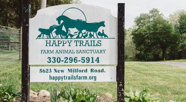 There’s A Rescue Farm Near Cleveland And You’re Going To Love It