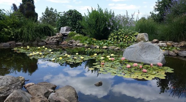 The Serene Hummingbird Garden Near Cleveland That’s Too Beautiful For Words