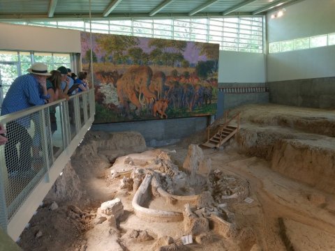 Take A Day Trip To This Fascinating Ice Age Fossil Park Near Austin