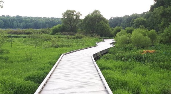 This Virginia Park Has Endless Boardwalks And You’ll Want To Explore Them All