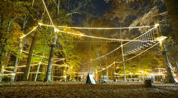 The Little Known Treetop Park That’s Unlike Any Other In Kentucky