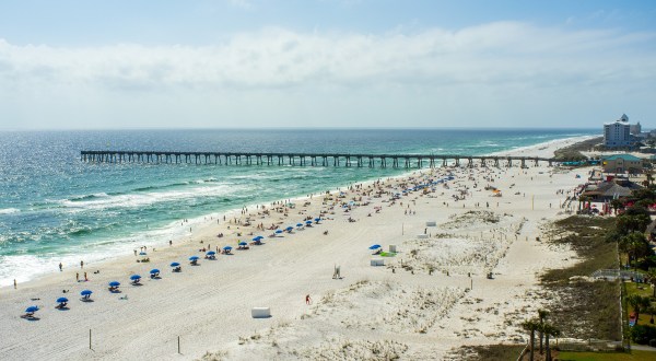 You’ll Want To Avoid These 2 Florida Beaches Due To An Unpleasant Infestation