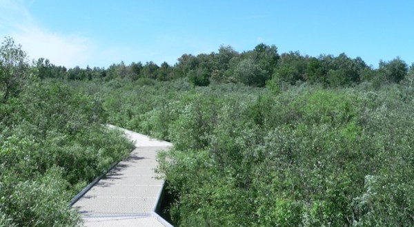 This Minnesota Park Has Endless Boardwalks And You’ll Want To Explore Them All