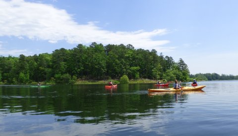 Take This Incredible Paddle Trail In Arkansas For An Unforgettable Summer Adventure