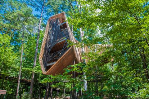 Everyone Needs To Visit This Massive Treehouse In Arkansas That's Unlike Anything Else