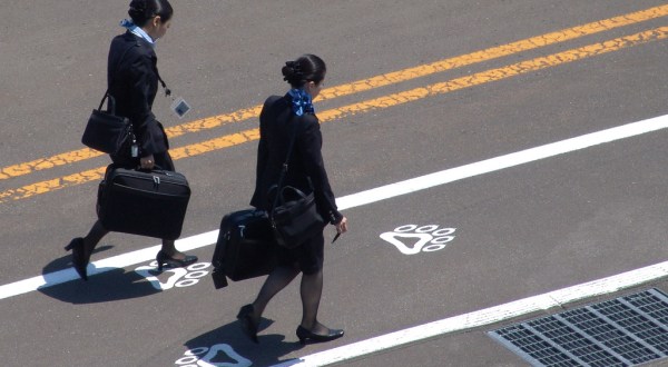 The Scary Statistic That Will Make You Never Want To Be A Flight Attendant