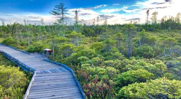 This Maine Park Has Endless Boardwalks And You’ll Want To Explore Them All