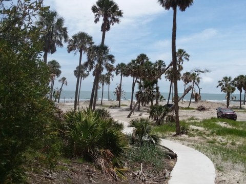 South Carolina's Most Visited State Park Has A Beachside Campground That's The Most Beautiful Around